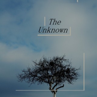 The Unknown