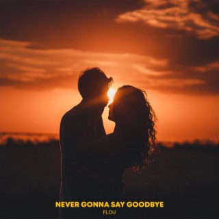 Never Gonna Say Goodbye