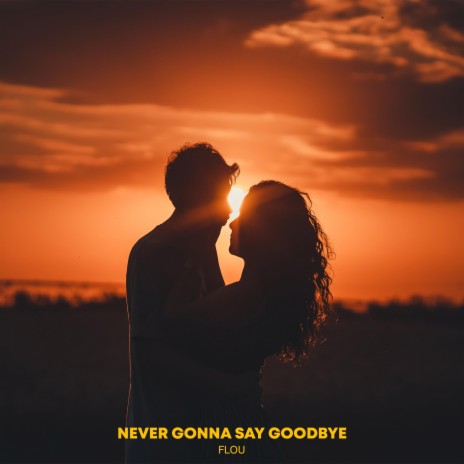 Never Gonna Say Goodbye | Boomplay Music