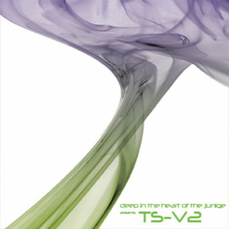 TS-V2-02 | Boomplay Music