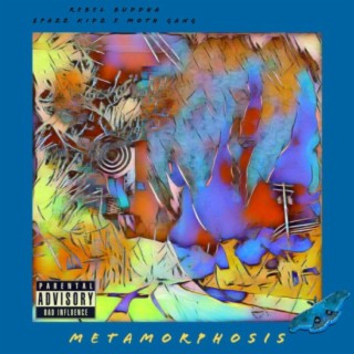 Metamorphosis Intro lyrics | Boomplay Music