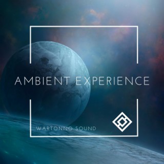 Ambient Experience