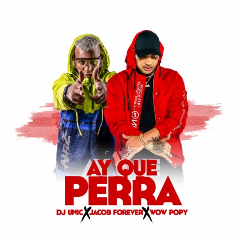 Ay Que Perra ft. Jacob Forever & Wow Popy | Boomplay Music