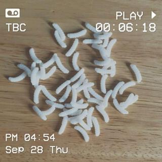 White Maggots