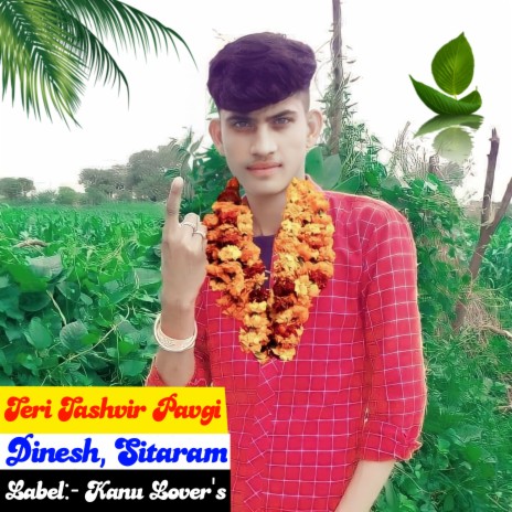 Teri Tashvir Pavgi ft. Sitaram Tiger