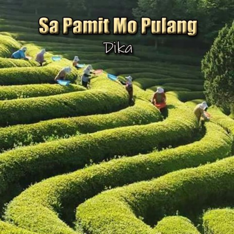 Sa Pamit Mo Pulang | Boomplay Music