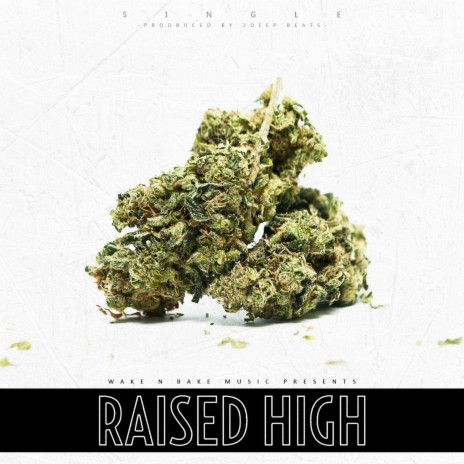 Raised High | Boomplay Music
