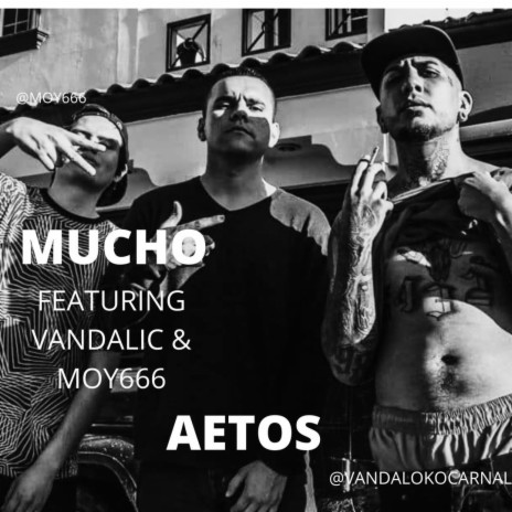 MUCHO ft. VANDALIC & moy666 | Boomplay Music