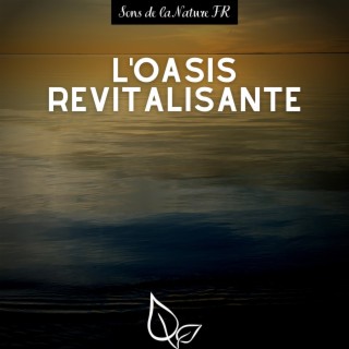 L'oasis revitalisante: Thérapie sonore pour le renouvellement et le massage profond des tissus