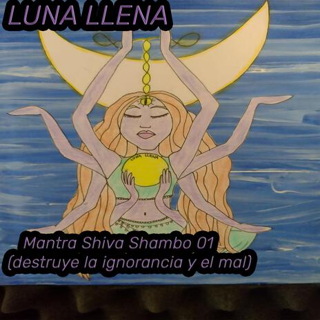 Mantra Shiva Shambo 01 (destruye la ignorancia y el mal) | Boomplay Music