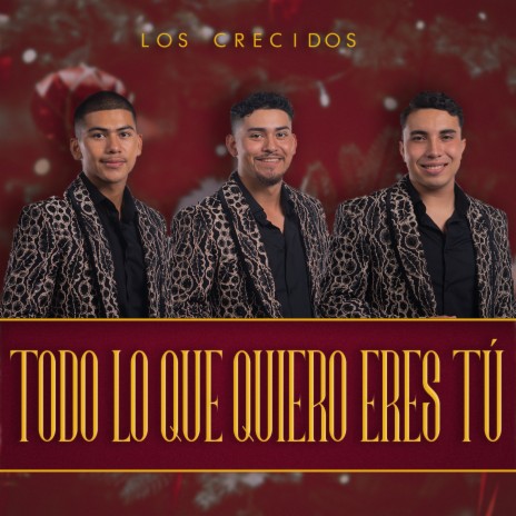 Todo Lo Que Quiero Eres Tú | Boomplay Music