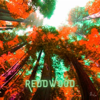 reddwood