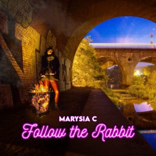 Follow the Rabbit