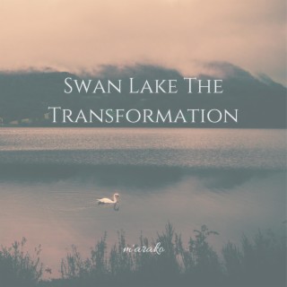 Swan Lake The Transformation