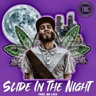 Slide in the Night