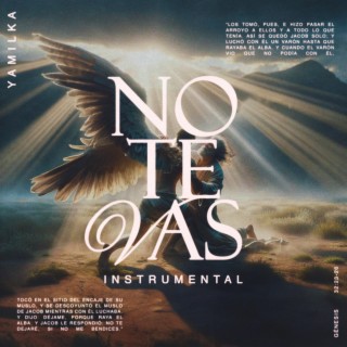 No Te Vas (Instrumental)