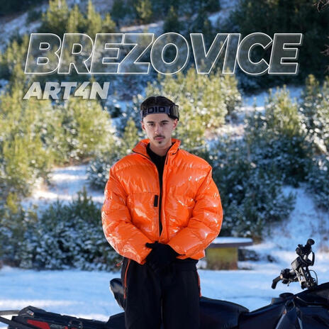 BREZOVICE | Boomplay Music