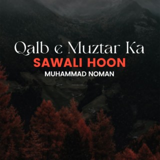 Qalb e Muztar Ka Sawali Hoon