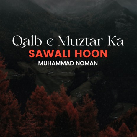 Qalb e Muztar Ka Sawali Hoon | Boomplay Music