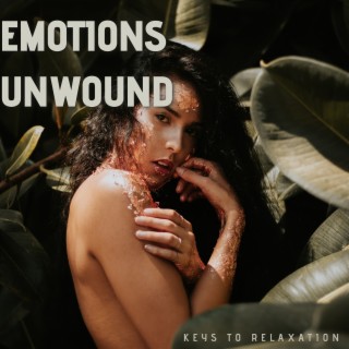 Emotions Unwound