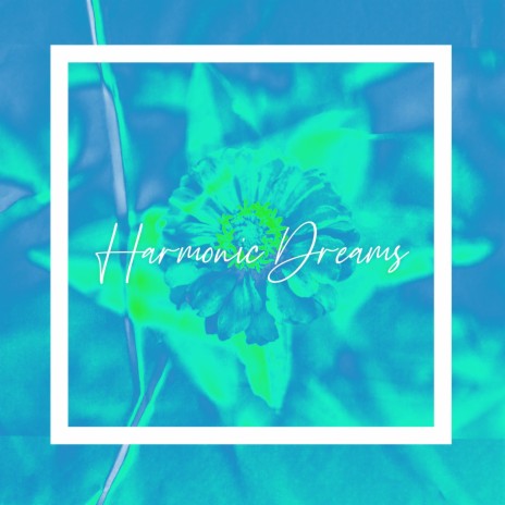 Harmonic Dreams ft. Brandon Study | Boomplay Music