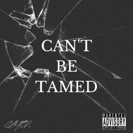 Can't Be Tamed | Boomplay Music