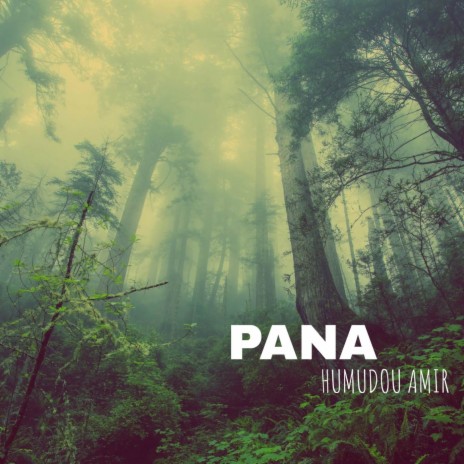 Pana (Swahili Version) | Boomplay Music