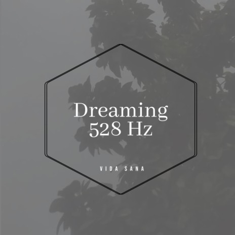 Dreaming 528 Hz ft. Dr. Joe | Boomplay Music