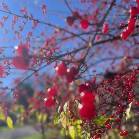 the first string of christmas lights | Boomplay Music