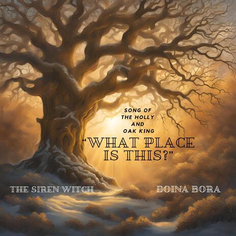 What place is this?- Song of The Holly and Oak King ft. Doina Bora | Boomplay Music