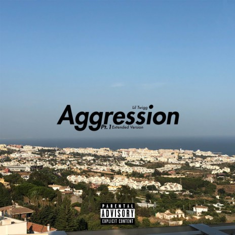 Aggression (Remix) | Boomplay Music