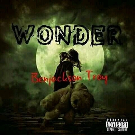 Wonder | Boomplay Music