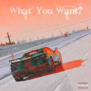 What You Want? lyrics | Boomplay Music