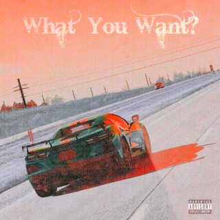 What You Want?