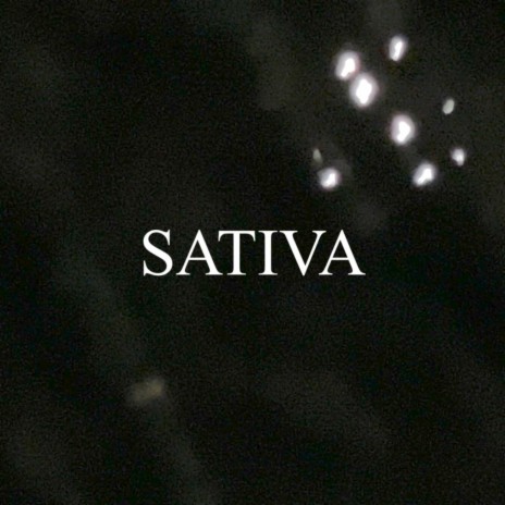 Sativa | Boomplay Music