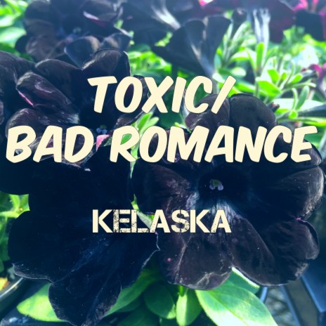 Toxic/Bad Romance | Boomplay Music