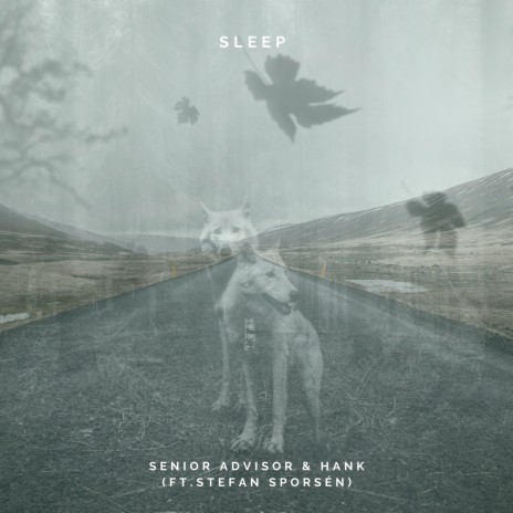 Sleep ft. HANK & Stefan Sporsén