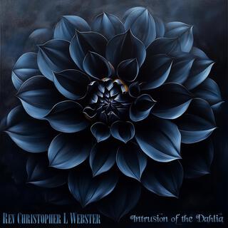 Intrusion of the Dahlia lyrics | Boomplay Music