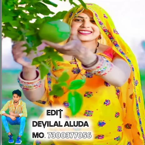 Raju gomladu Meena geet.devilal aluda | Boomplay Music