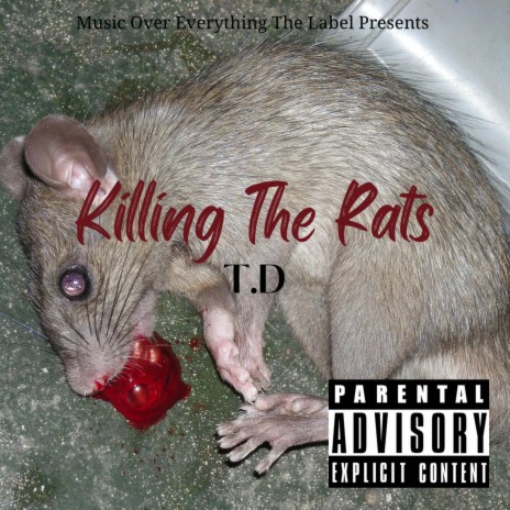 Killing The Rats (Freestyle) | Boomplay Music