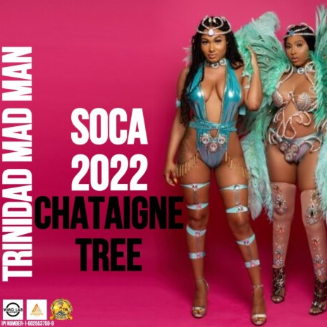 Chataigne Tree | Boomplay Music