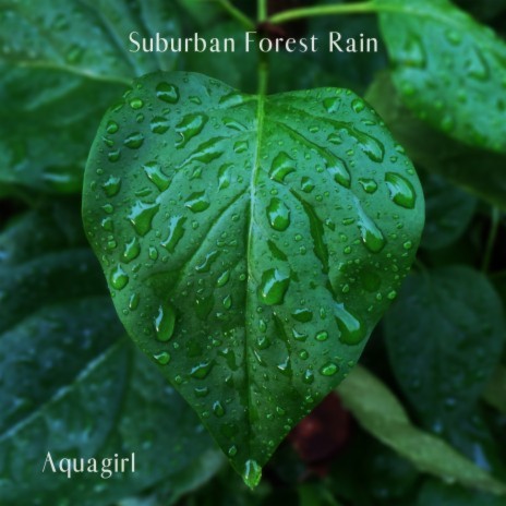 Suburban Forest Rain 1 | Boomplay Music