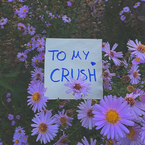 To My Crush (So Could You Hold Me Tight) | Boomplay Music