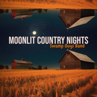 Moonlit Country Nights: Instrumental Modern Country