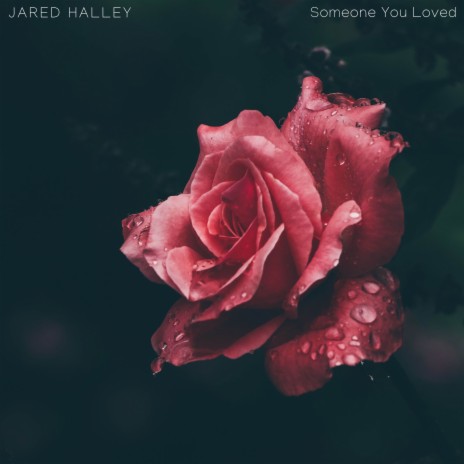 Someone You Loved | Boomplay Music