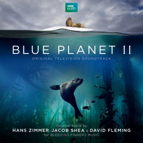 Race to Feed ft. David Fleming & Hans Zimmer | Boomplay Music