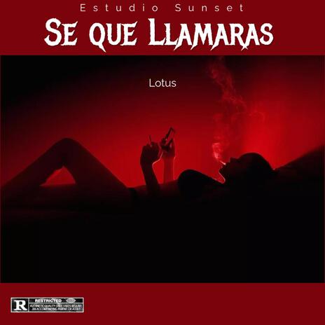 Se que llamaras | Boomplay Music