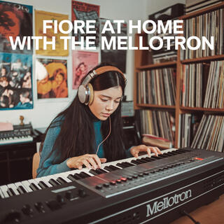 At Home With The Mellotron