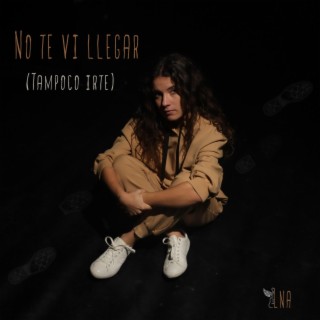 No te vi llegar (tampoco irte) lyrics | Boomplay Music