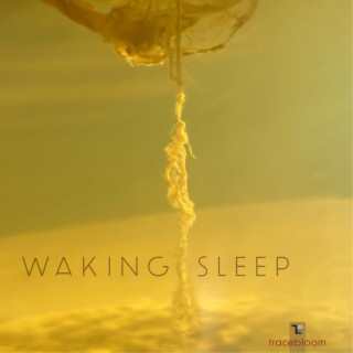 Waking Sleep